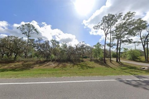 Land in Polk City, Florida № 2164078 - photo 2