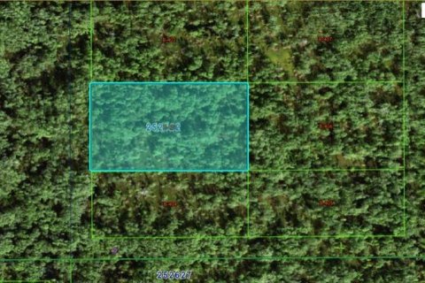 Terreno en Polk City, Florida № 2164078
