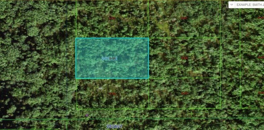 Land in Polk City, Florida № 2164078