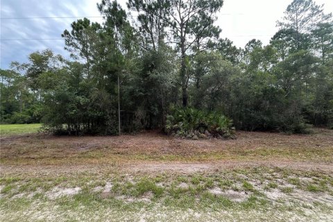 Land in Georgetown, Florida № 2165096
