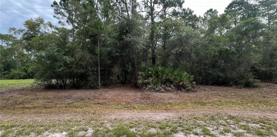 Land in Georgetown, Florida № 2165096