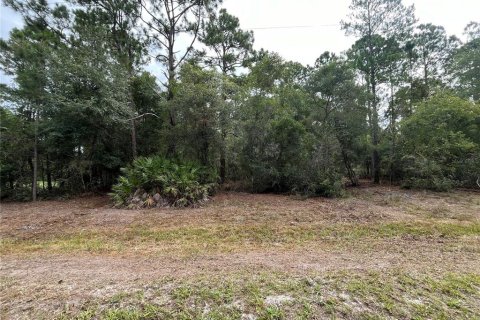 Land in Georgetown, Florida № 2165096 - photo 3