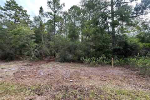 Land in Georgetown, Florida № 2165096 - photo 8