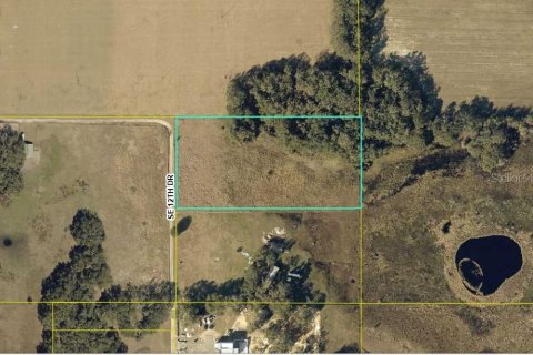 Land in Webster, Florida № 1868938 - photo 2