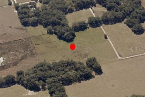 Land in Webster, Florida № 1868938 - photo 1