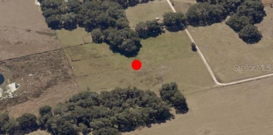 Land in Webster, Florida № 1868938