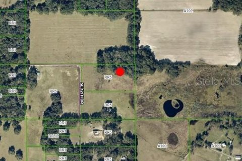 Land in Webster, Florida № 1868938 - photo 3