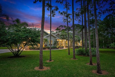 House in Jupiter, Florida 4 bedrooms, 328.5 sq.m. № 918677 - photo 1