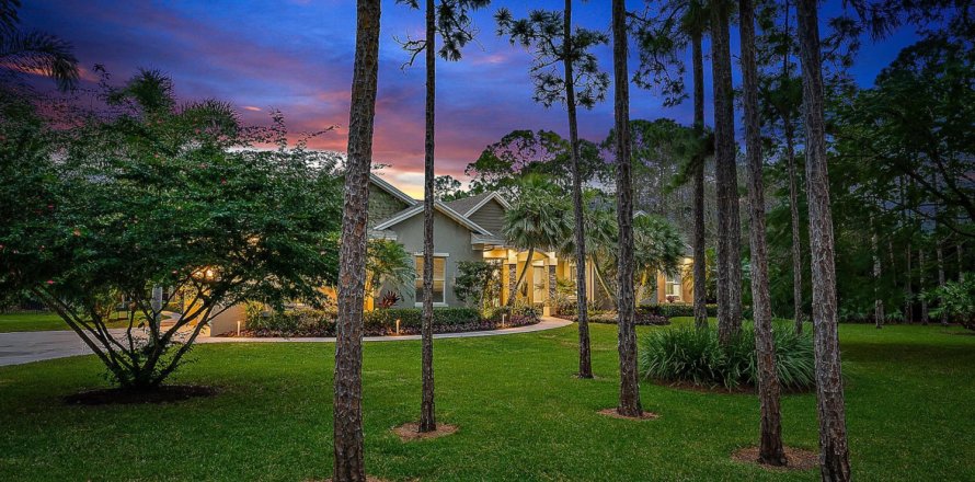 House in Jupiter, Florida 4 bedrooms, 328.5 sq.m. № 918677
