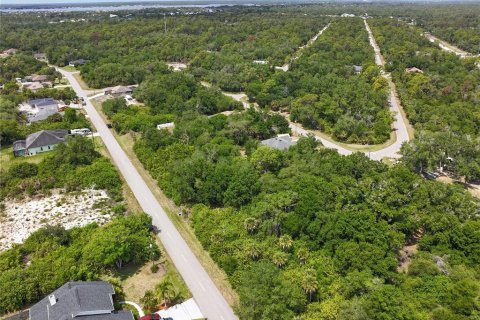 Land in Port Charlotte, Florida № 2160791 - photo 7