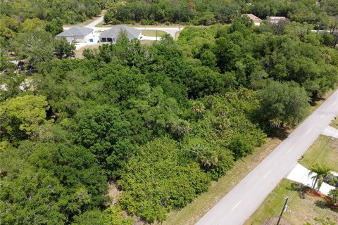 Land in Port Charlotte, Florida № 2160791 - photo 3