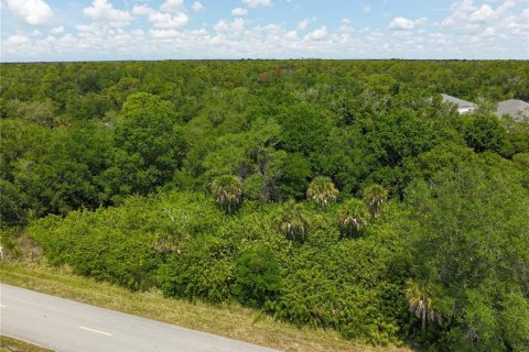 Land in Port Charlotte, Florida № 2160791 - photo 4
