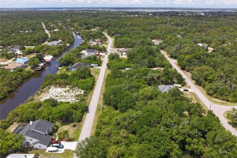 Land in Port Charlotte, Florida № 2160791 - photo 6