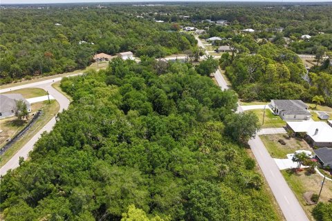 Land in Port Charlotte, Florida № 2160791 - photo 9