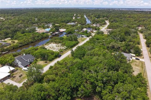 Land in Port Charlotte, Florida № 2160791 - photo 13