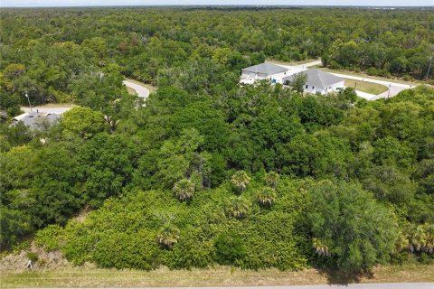 Land in Port Charlotte, Florida № 2160791
