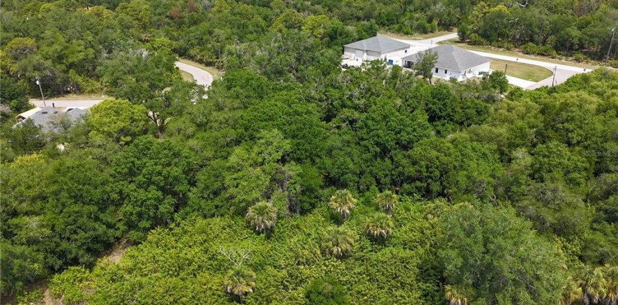 Land in Port Charlotte, Florida № 2160791