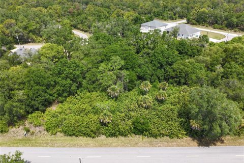 Land in Port Charlotte, Florida № 2160791 - photo 5