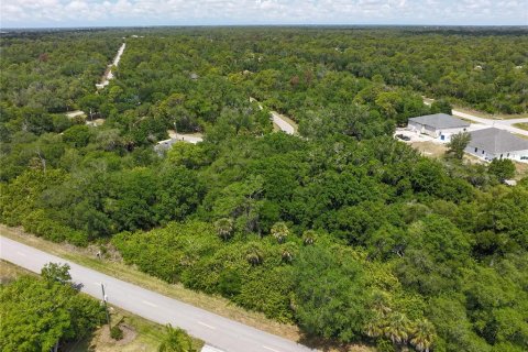Land in Port Charlotte, Florida № 2160791 - photo 8