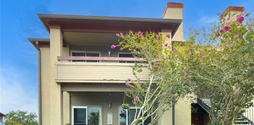 Condo in Saint Petersburg, Florida, 1 bedroom  № 2102460