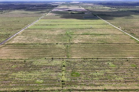 Terreno en venta en LaBelle, Florida № 2291161 - foto 13