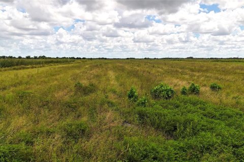 Terreno en venta en LaBelle, Florida № 2291161 - foto 25