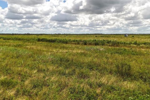 Terreno en venta en LaBelle, Florida № 2291161 - foto 24