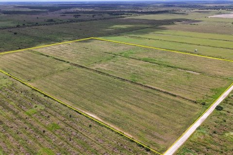 Terreno en venta en LaBelle, Florida № 2291161 - foto 9