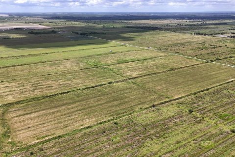 Terreno en venta en LaBelle, Florida № 2291161 - foto 7