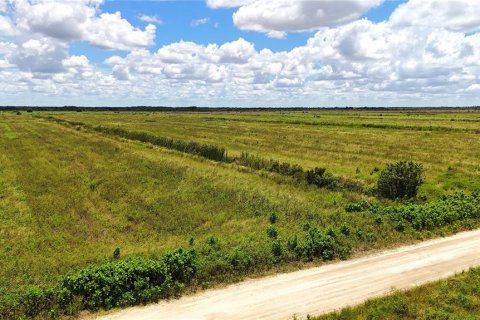 Terreno en venta en LaBelle, Florida № 2291161 - foto 21