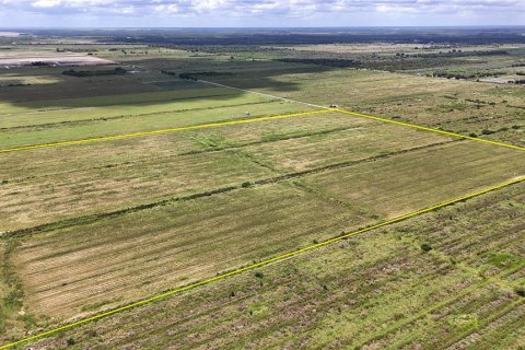 Terreno en venta en LaBelle, Florida № 2291161 - foto 12