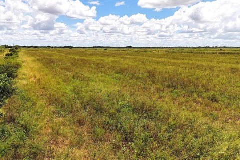 Terrain à LaBelle, Floride № 2291161