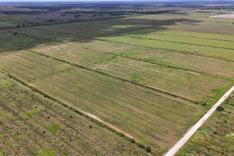 Terreno en venta en LaBelle, Florida № 2291161 - foto 3