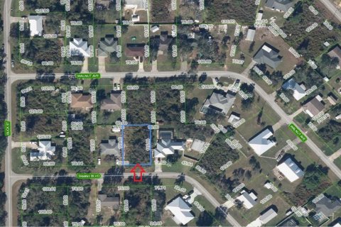 Land in Lake Placid, Florida № 2239798