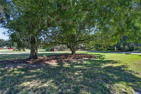 Villa ou maison à vendre à Ocala, Floride: 5 chambres, 286.88 m2 № 2415260 - photo 23