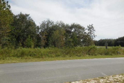 Land in Williston, Florida № 2162649 - photo 3