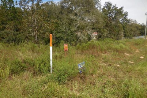 Land in Williston, Florida № 2162649 - photo 5
