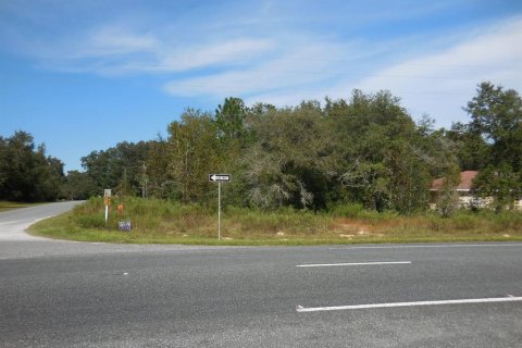 Land in Williston, Florida № 2162649