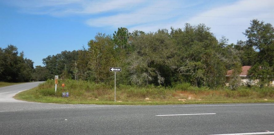 Land in Williston, Florida № 2162649