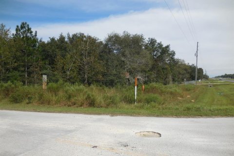 Land in Williston, Florida № 2162649 - photo 4