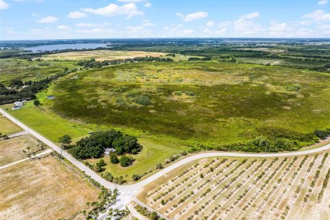 Land in Haines City, Florida № 1841509 - photo 2