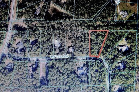 Terrain à vendre à Dunnellon, Floride № 1688551 - photo 2