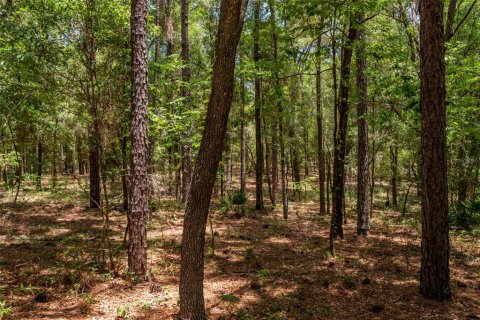 Terrain à vendre à Dunnellon, Floride № 1688551 - photo 8