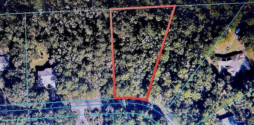 Terrain à Dunnellon, Floride № 1688551