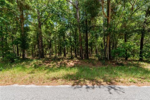 Terrain à vendre à Dunnellon, Floride № 1688551 - photo 6