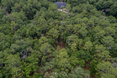 Terrain à vendre à Dunnellon, Floride № 1688551 - photo 11