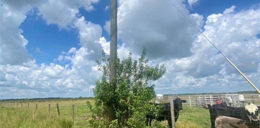 Land in Okeechobee, Florida № 1178601