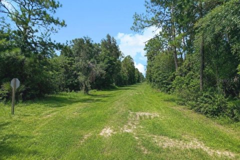 Land in Indian lake estates, Florida № 2225965 - photo 2
