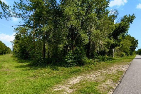 Land in Indian lake estates, Florida № 2225965 - photo 3