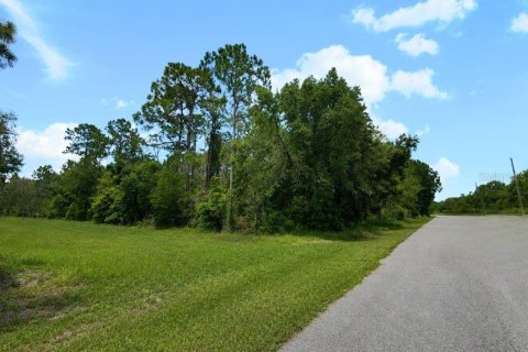Land in Indian lake estates, Florida № 2225965 - photo 6
